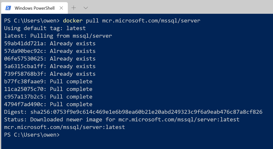 docker pull mssql server